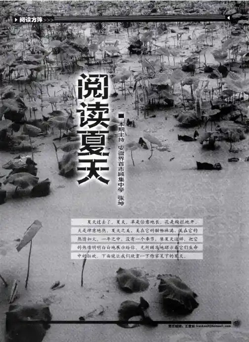 阅读夏天——夏之雨