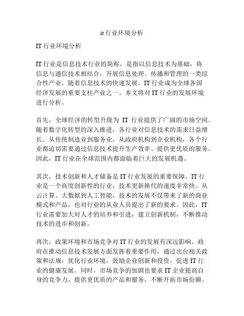 it行业环境分析