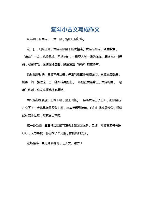 猫斗小古文写成作文