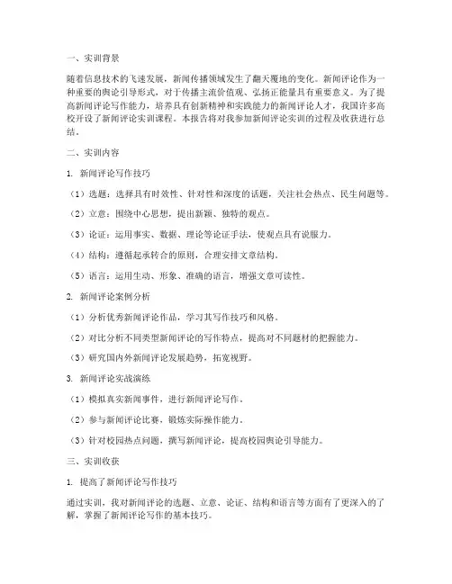 新闻评论实训报告
