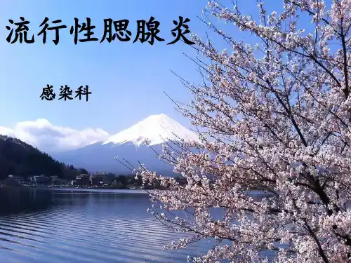 流行性腮腺炎ppt课件全