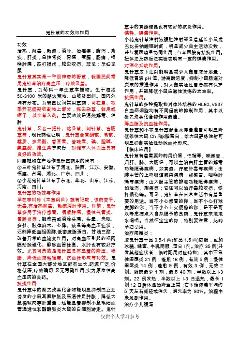 鬼针草的功效与作用