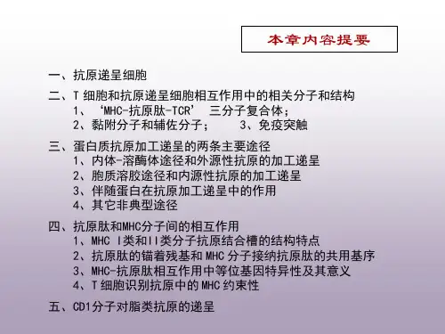 抗原递呈专题知识讲座