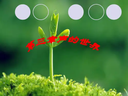 声的世界(物理课件)