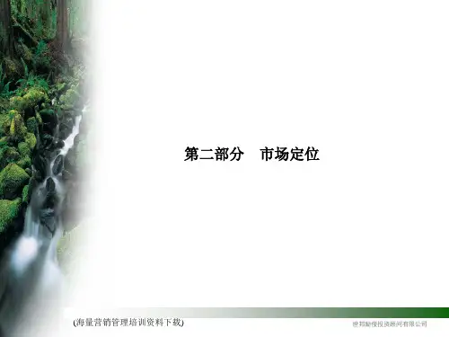 北京某顶级豪宅别墅市场定位策略(42)汇总精品PPT课件