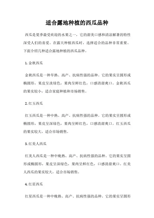 适合露地种植的西瓜品种
