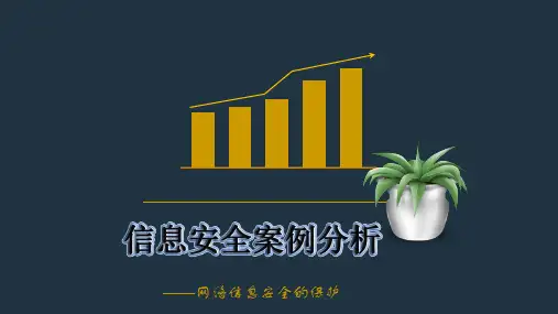 2017年互联网+网络信息安全案例分析
