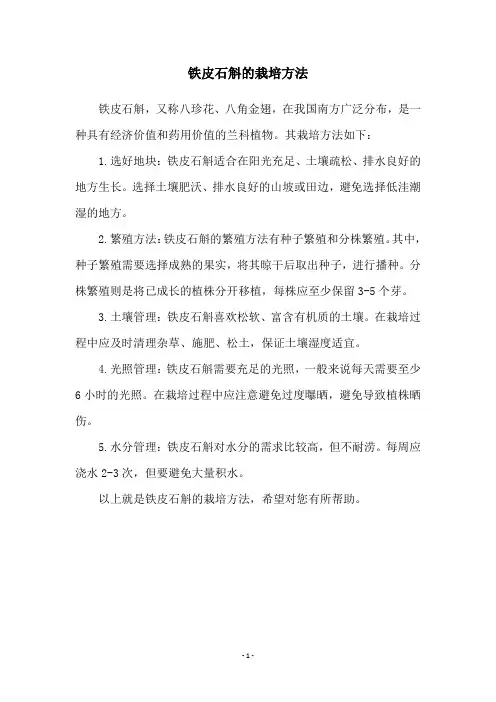 铁皮石斛的栽培方法