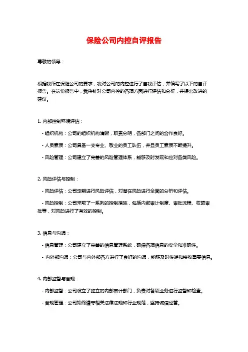 保险公司内控自评报告