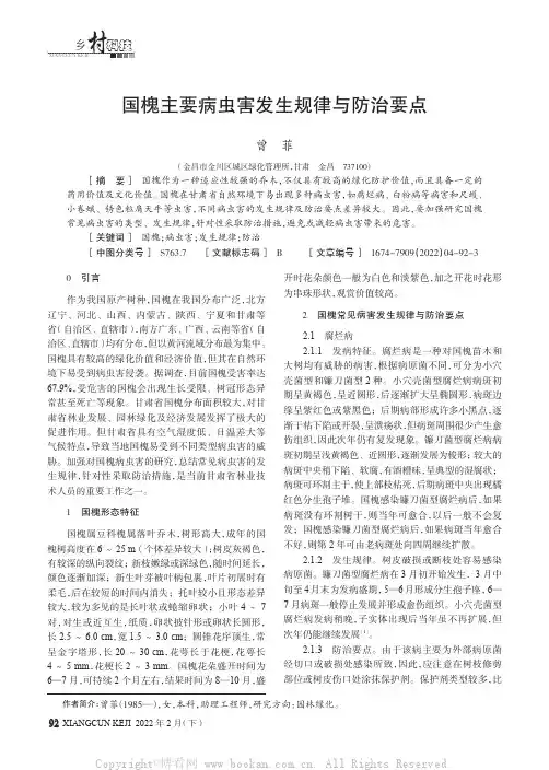 国槐主要病虫害发生规律与防治要点