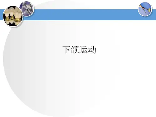 口腔生理及功能 下颌运动 下颌运动