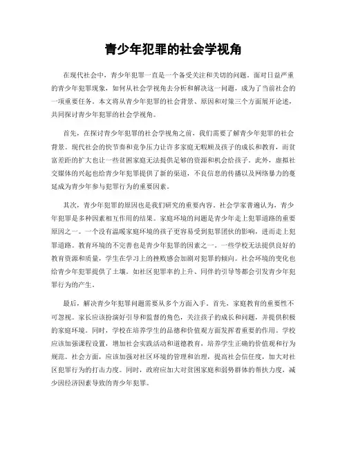 青少年犯罪的社会学视角