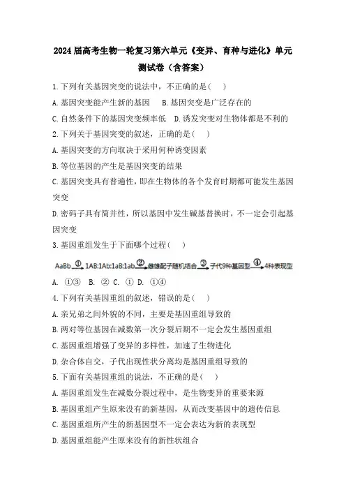 2024届高考生物一轮复习第六单元《变异、育种与进化》单元测试卷(含答案)