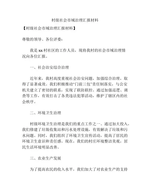 村级社会市域治理汇报材料