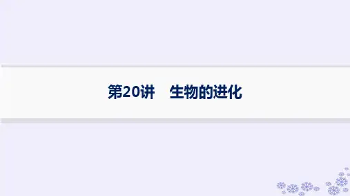 浙江专版2025届高考生物一轮总复习第6单元生物的变异与进化第20讲生物的进化课件浙科版