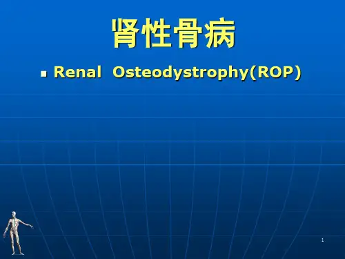 肾性骨病(课堂PPT)