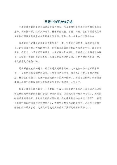 田野中的哭声读后感