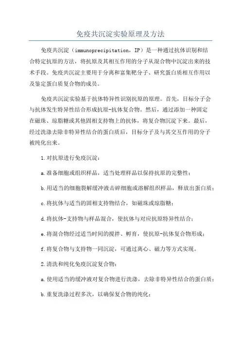 免疫共沉淀实验原理及方法