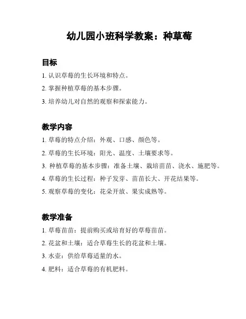 幼儿园小班科学教案：种草莓