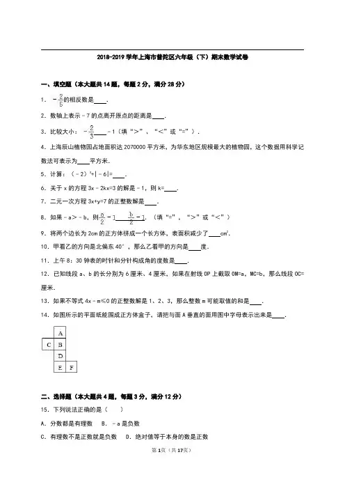 上海市普陀区2018-2019学年六年级下学期期末考试数学试题 (2).pdf