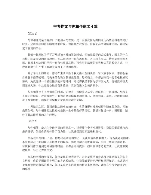 中考作文与你相伴范文4篇