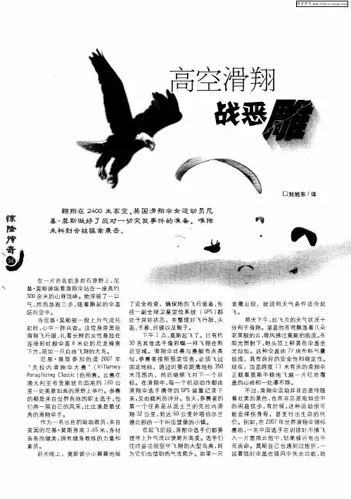 高空滑翔战恶雕