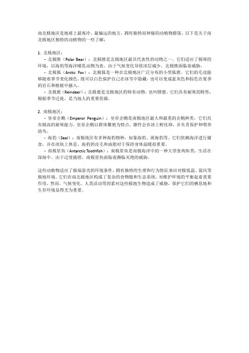 神秘的极地生物：了解南北极独特的动植物