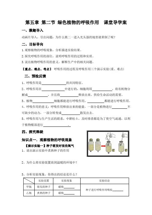 第二节呼吸作用导学案-2023-2024学年北师大版生物七年级上册