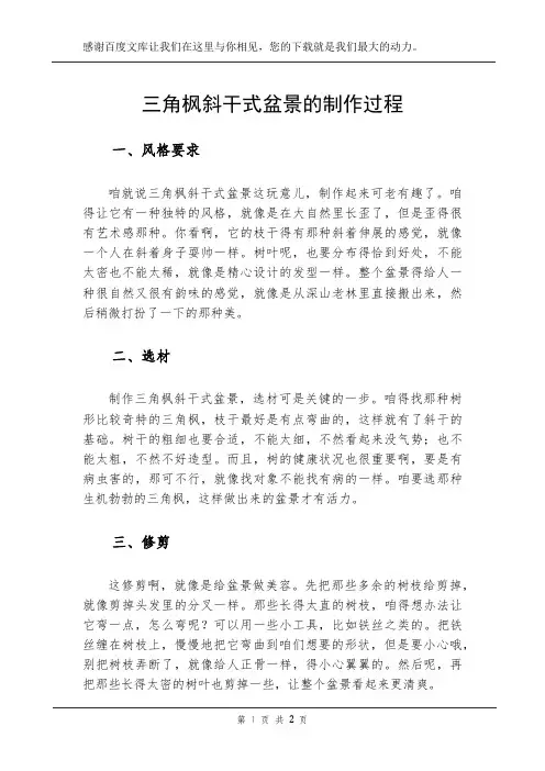 三角枫斜干式盆景的制作过程
