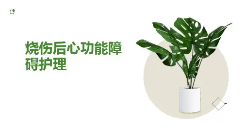 烧伤后心功能障碍护理