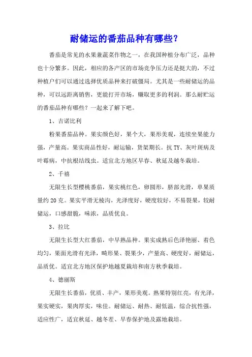耐储运的番茄品种有哪些？