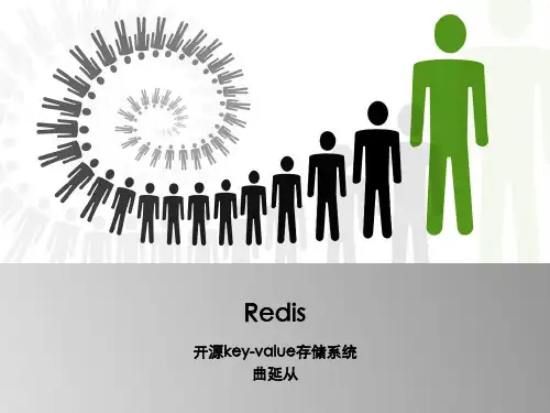 redis快速入门详解PPT