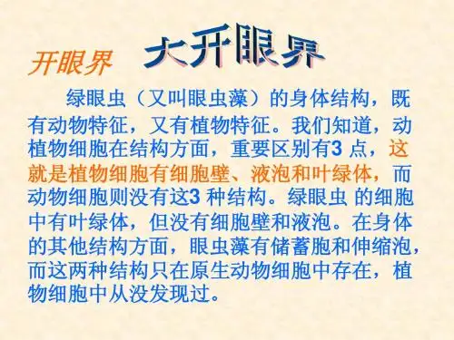 2.5.显微镜下的各种生物