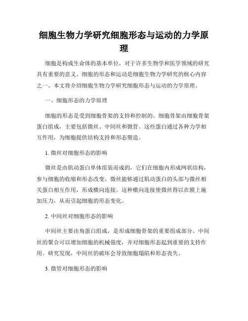 细胞生物力学研究细胞形态与运动的力学原理
