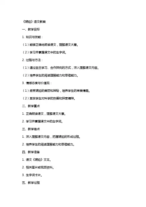 《琥珀》语文教案
