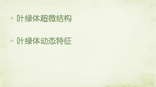 叶绿体超微结构与动态特征