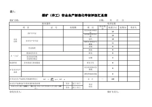 煤矿安全生产标准化专业评分表(2017年))
