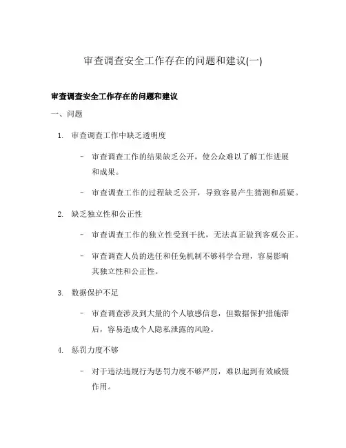 审查调查安全工作存在的问题和建议(一)