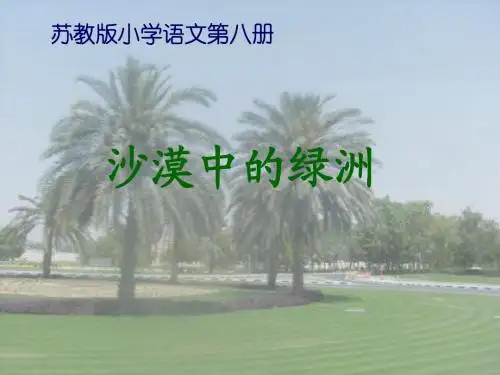 18沙漠中的绿洲PPT