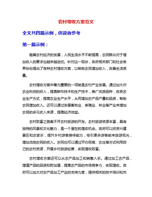 农村增收方案范文