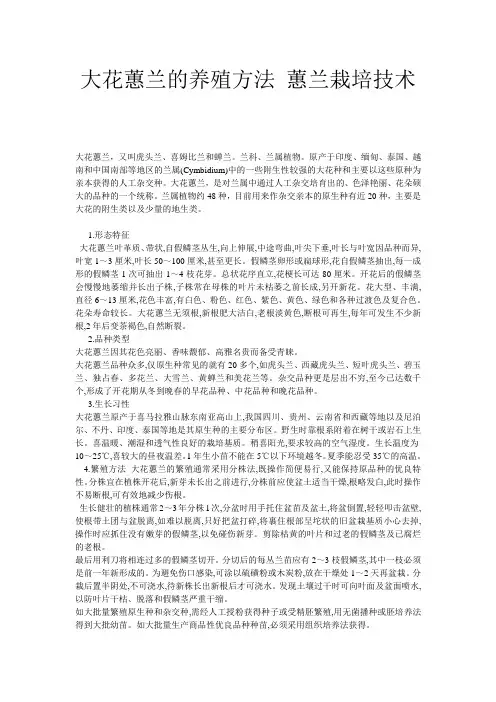 大花蕙兰的养殖方法 蕙兰栽培技术