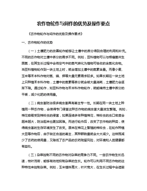 农作物轮作与间作的优势及操作要点