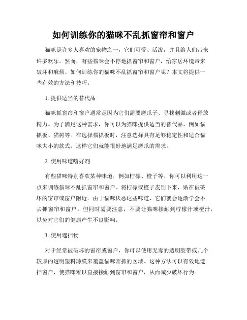如何训练你的猫咪不乱抓窗帘和窗户