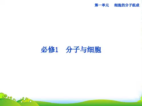 高考生物一轮复习 第1讲 无机物、糖类和脂质课件 浙科版