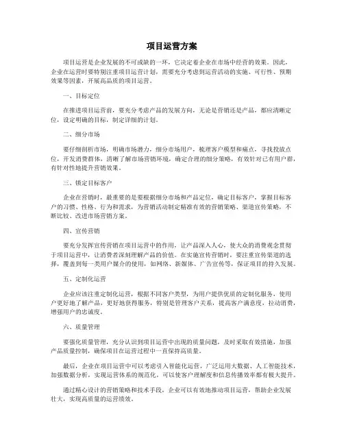 项目运营方案