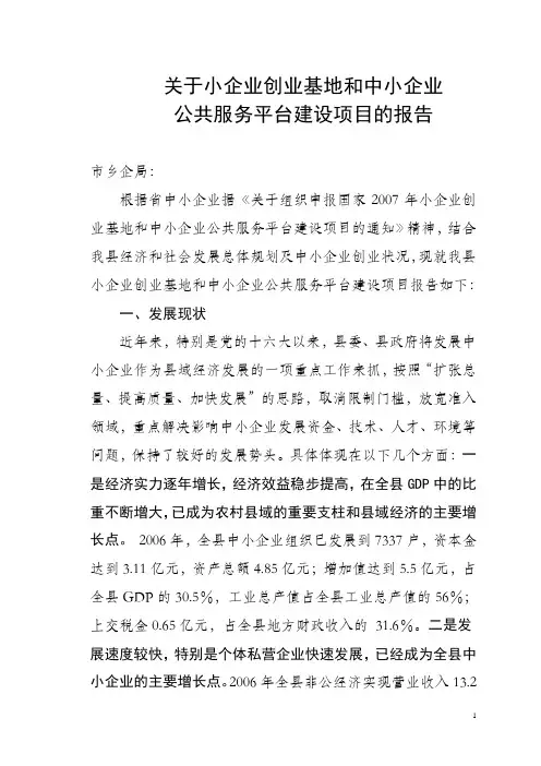 关于小企业创业基地和中小企业公共服务平台建设项目的报告