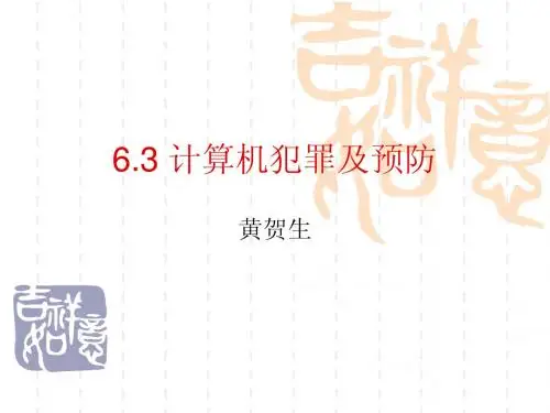 计算机犯罪及预防
