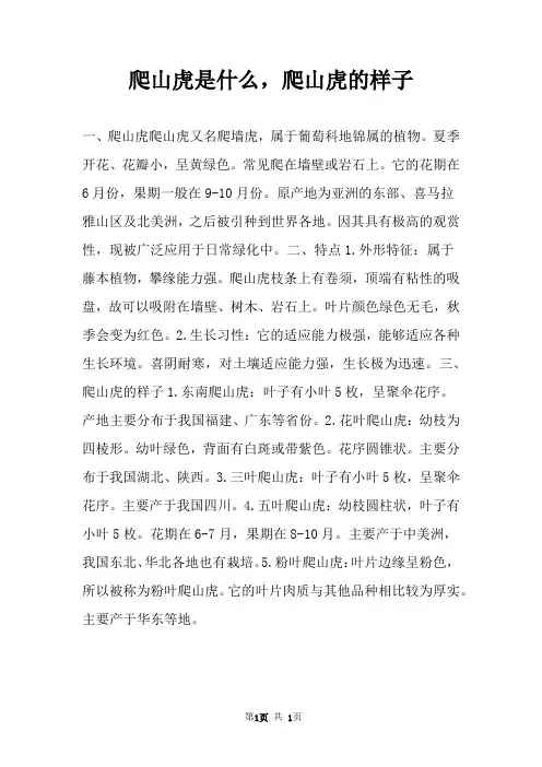 爬山虎是什么,爬山虎的样子 