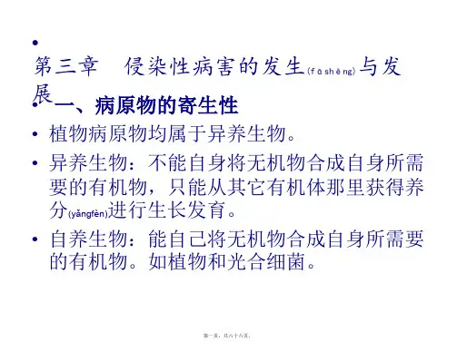植物病害的发生与发展