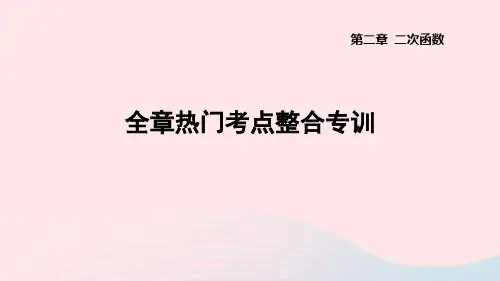 九下第二章二次函数全章热门考点整合专训作业新版北师大版